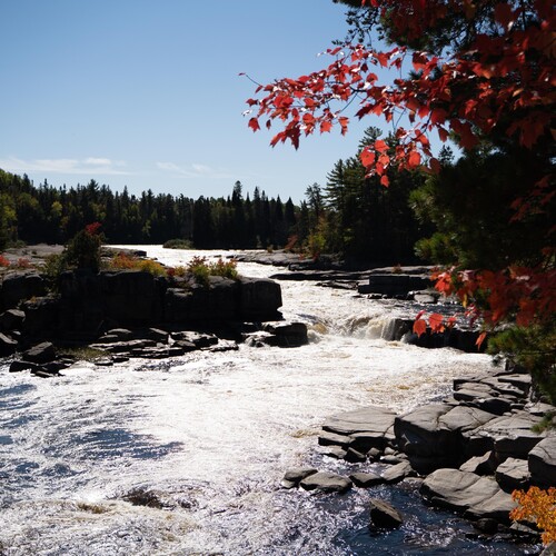 Top 8 des adresses gourmandes dans la région Chaleur